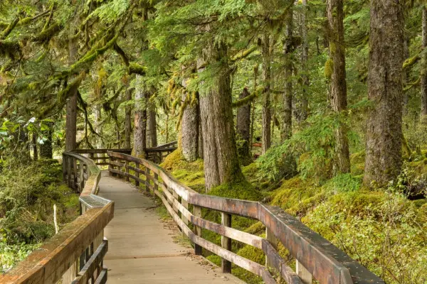 Glacier Bay National Park Hiking Trails