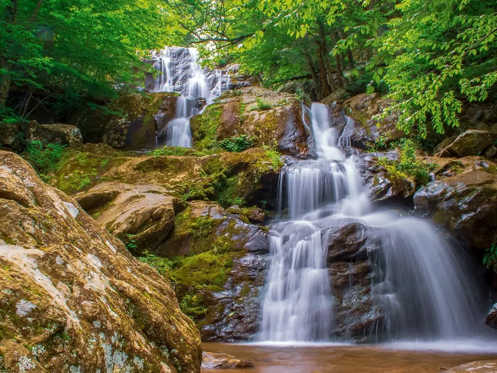 Jacksonville to Great Smoky Mountains National Park Road Trip Section Image
