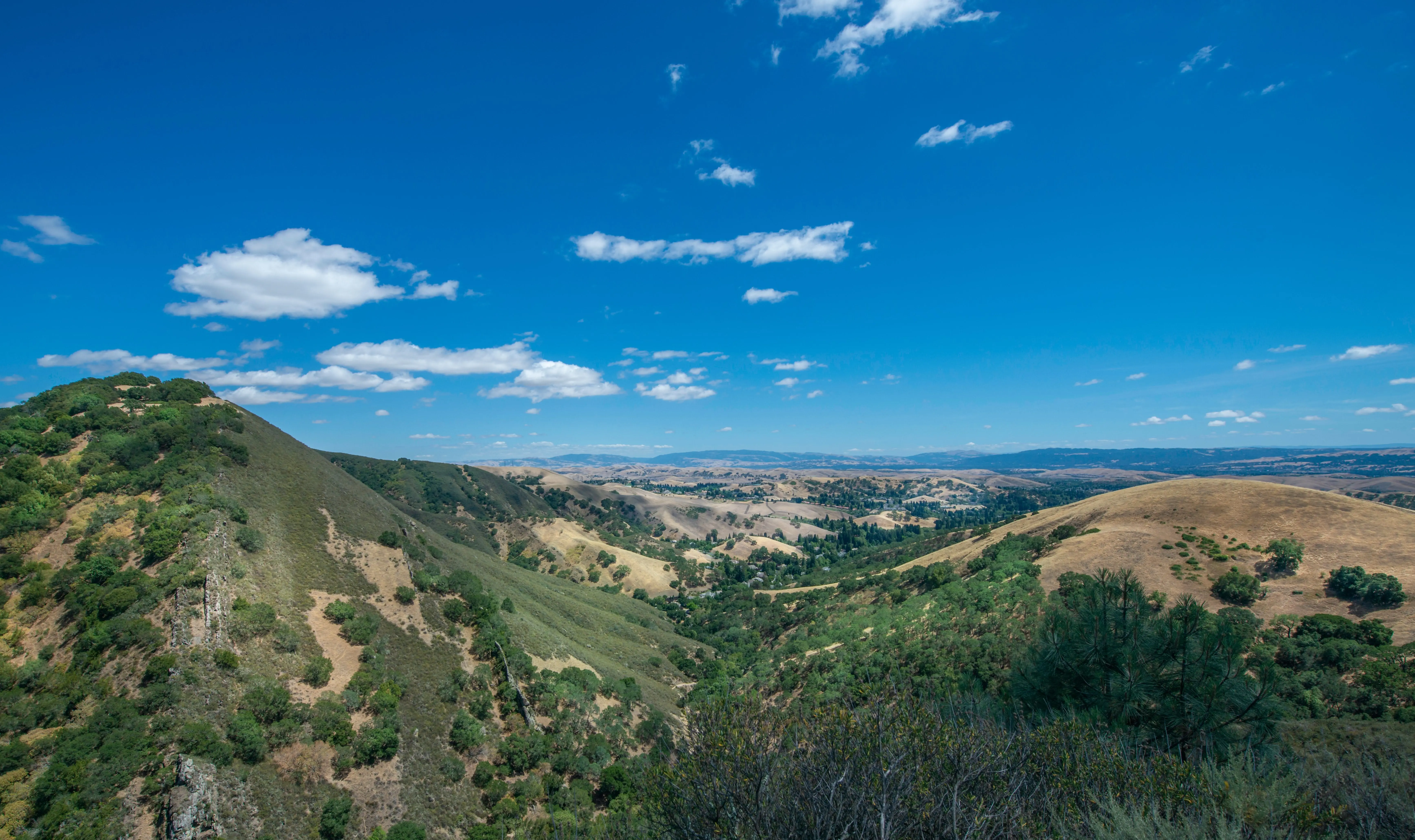 San Francisco to Sacramento Road Trip Section Image
