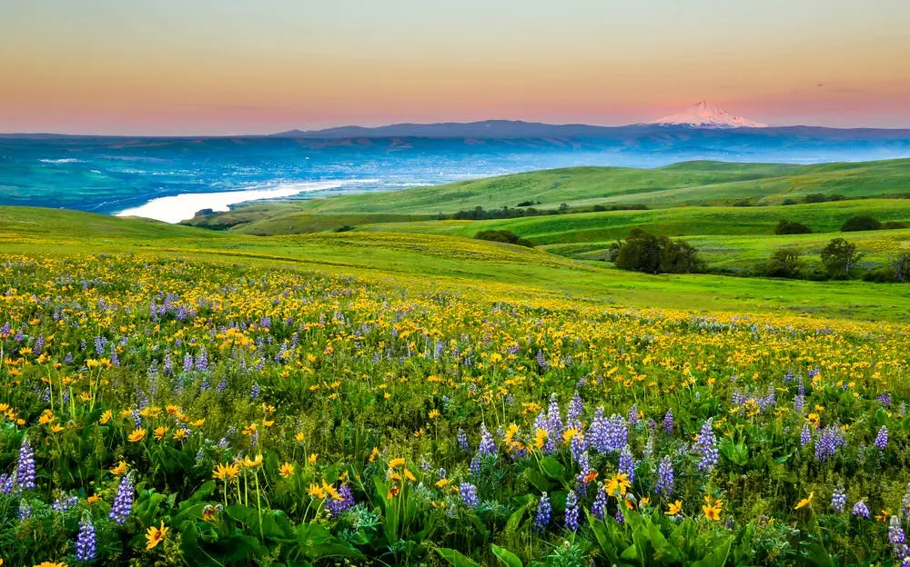 Columbia Hills State Park