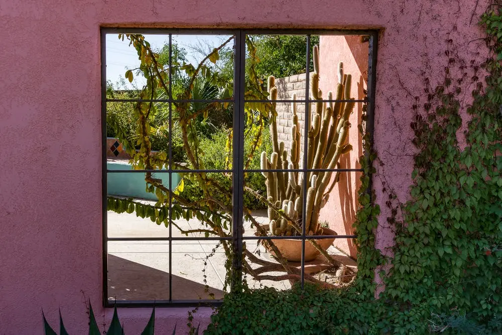 San Jose to Austin Road Trip Section Image