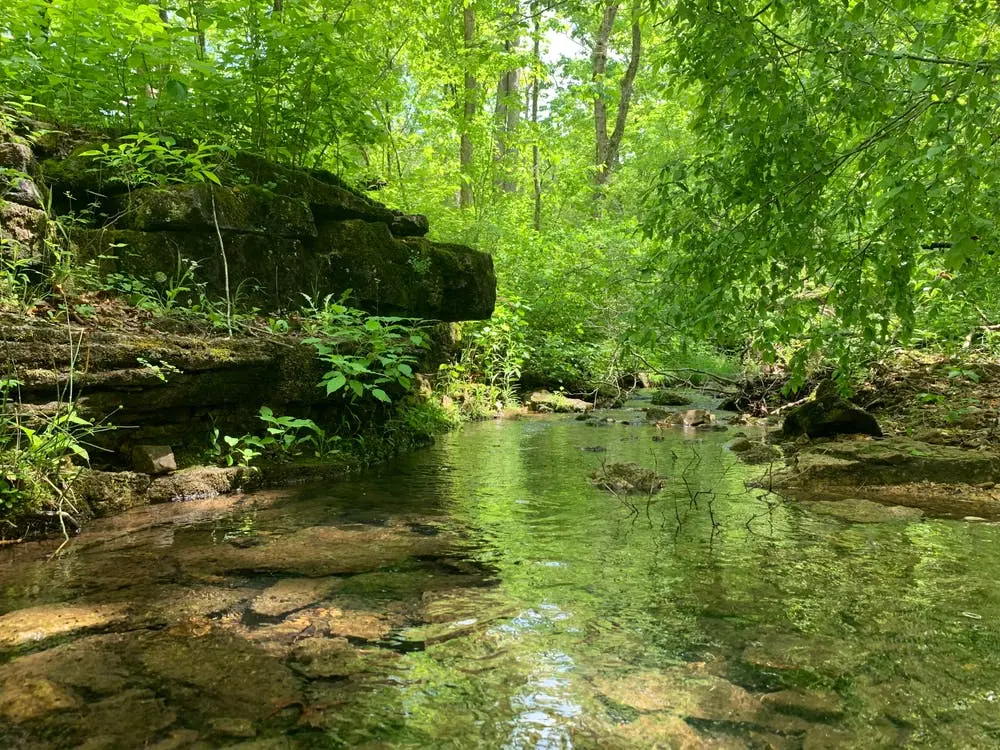 Des Moines to Savannah Road Trip Section Image