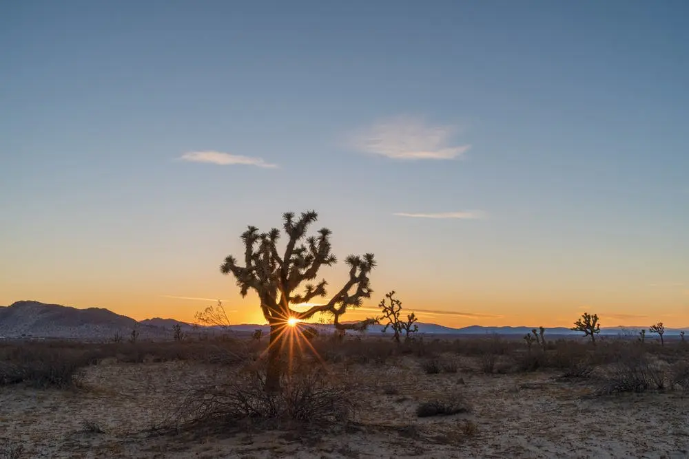 Saddleback Butte State Park