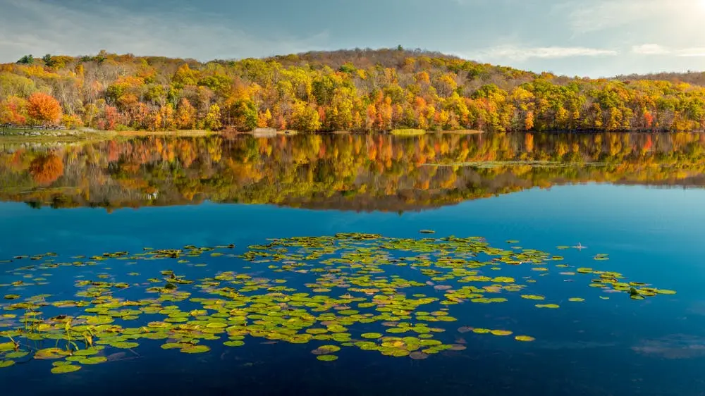 Buffalo to New York Road Trip Section Image
