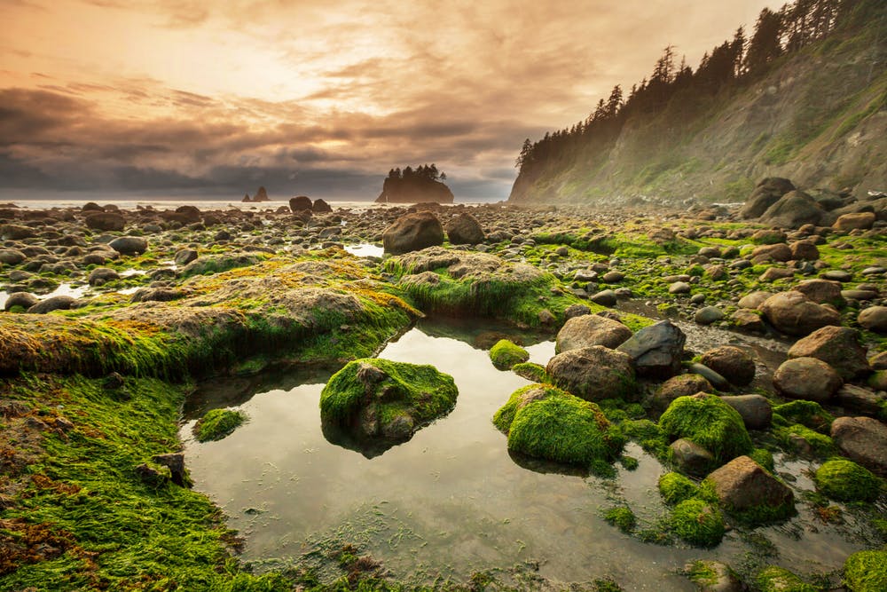 A view of Olympic National Park