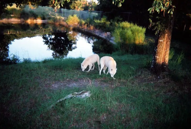 Orlando to Houston Road Trip Section Image