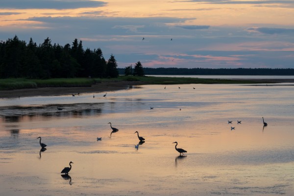 How to get to Kouchibouguac National Park
