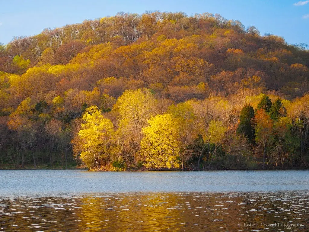 Nashville to Memphis Road Trip Section Image
