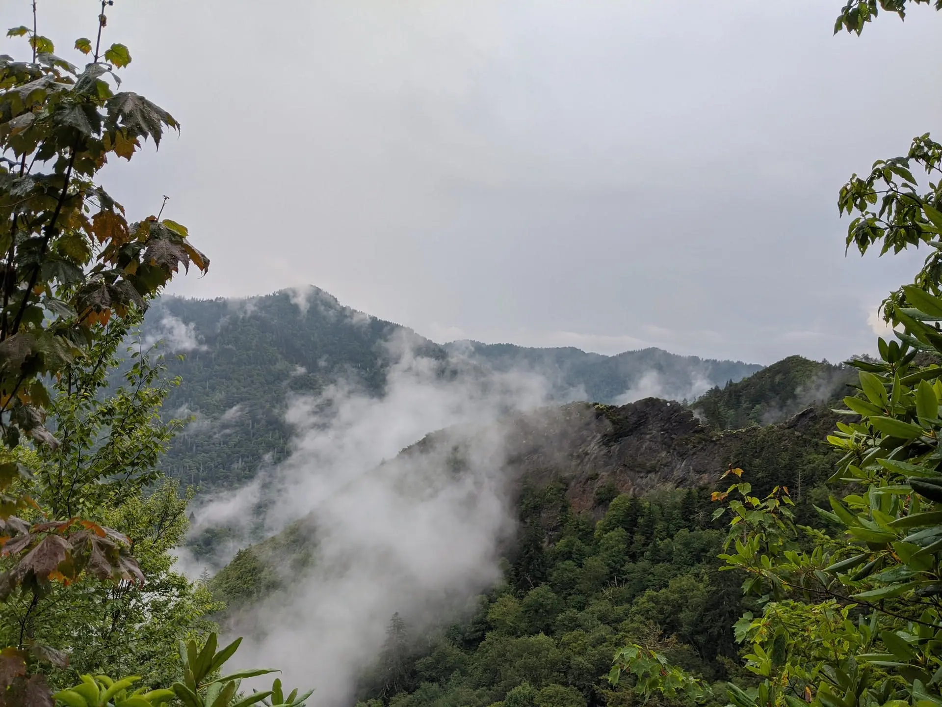 New Orleans to Nashville Road Trip Section Image