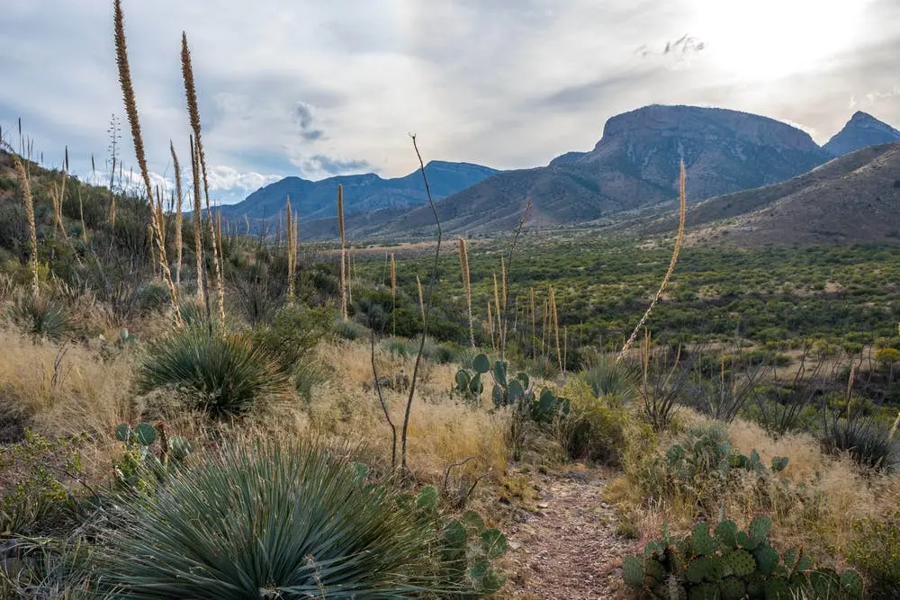 Tucson to Grand Isle State Park Road Trip Section Image