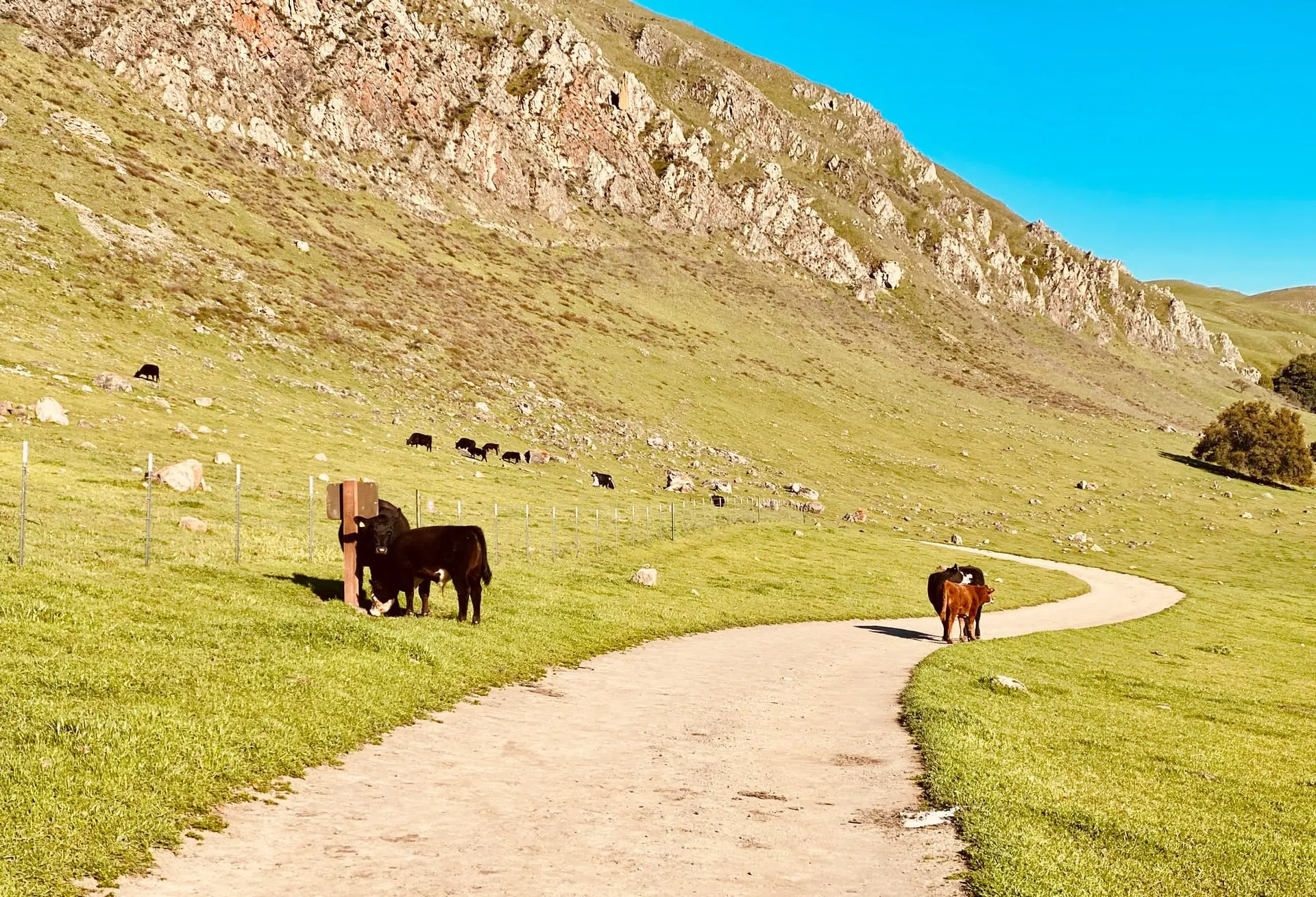 Chicago to San Francisco Road Trip Section Image