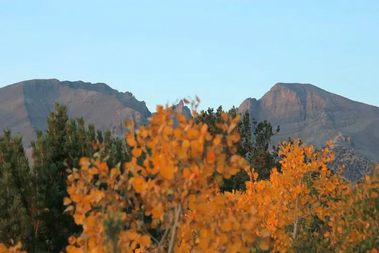 Reno to Las Vegas Road Trip Section Image