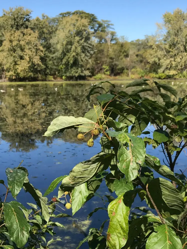 George Wyth State Park