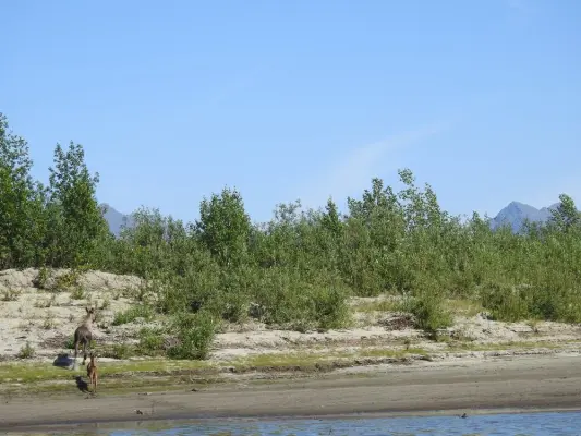 RV Resorts & Campsites near Kobuk Valley National Park