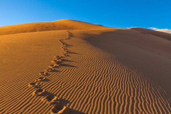 Great Sand Dunes National Park Hiking Trails