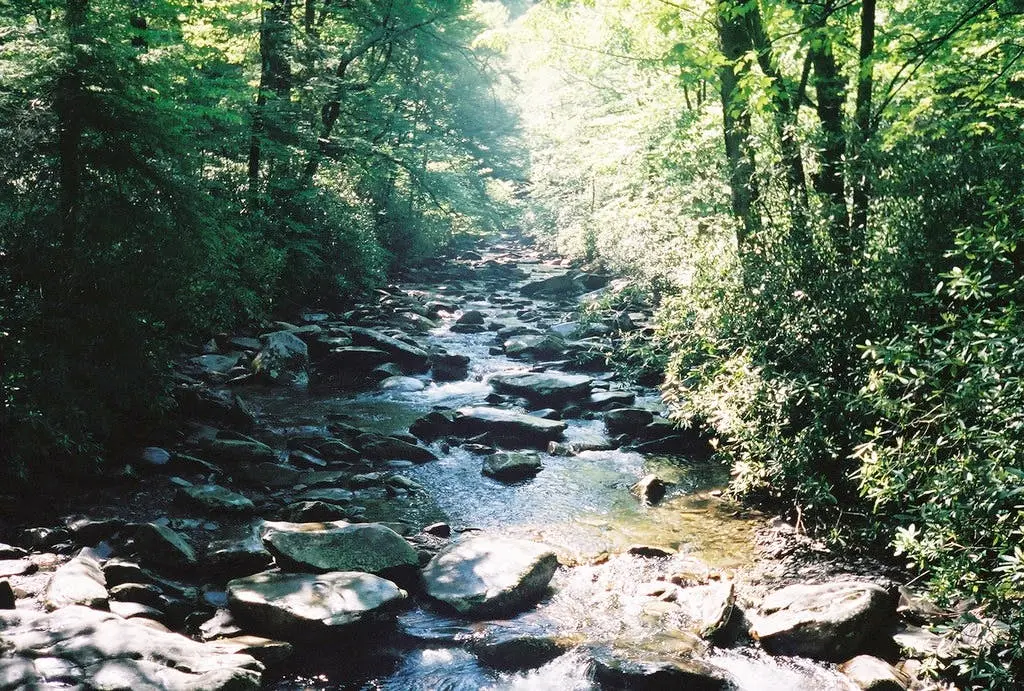 Nashville to Knoxville Road Trip Section Image