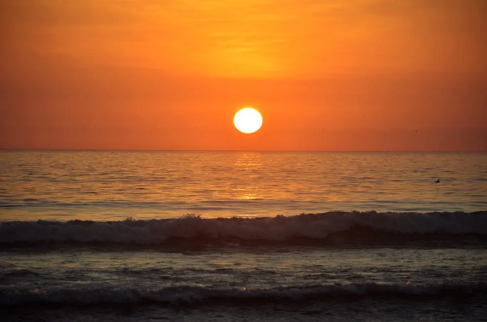 Grayland Beach State Park