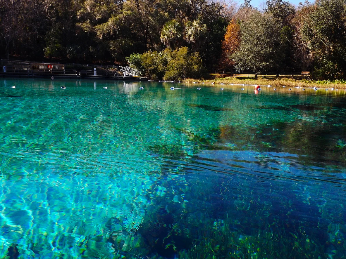 Rainbow Springs State Park