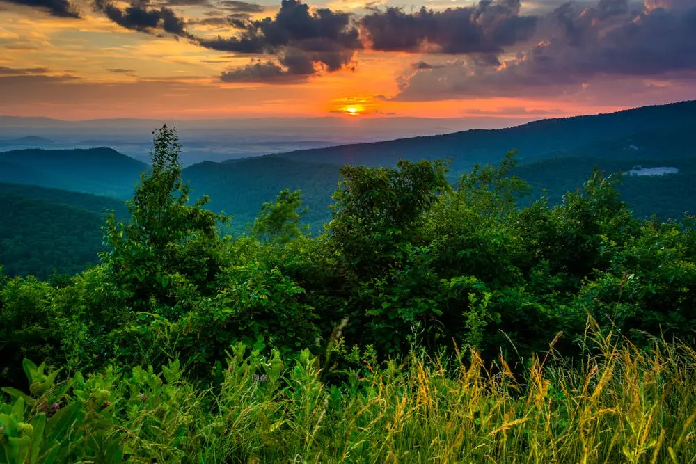 Savannah to Killington Road Trip Section Image