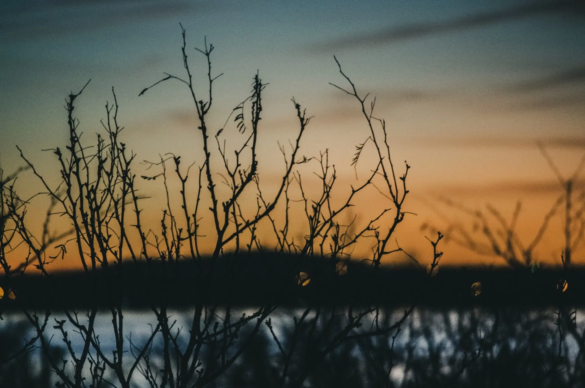 Dallas to Lubbock Road Trip Section Image