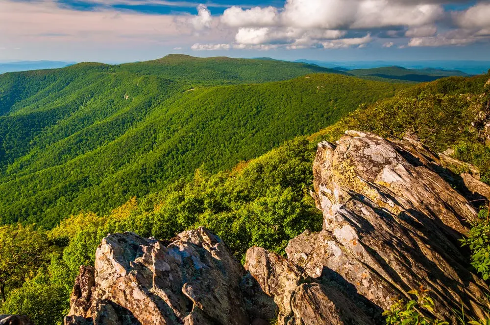 Jacksonville to Columbus Road Trip Section Image