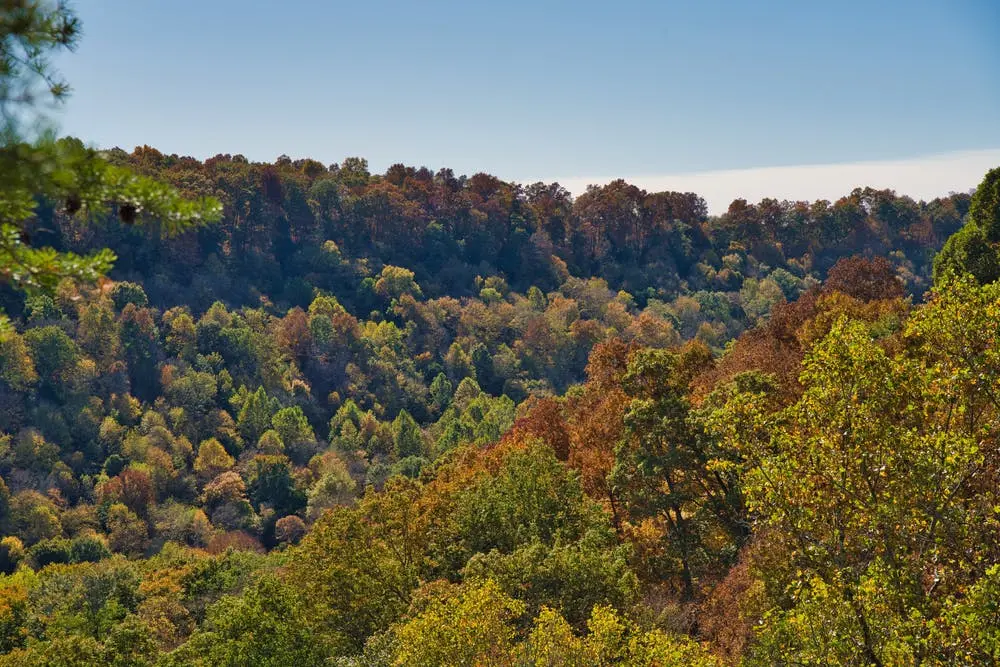 Great Seal State Park