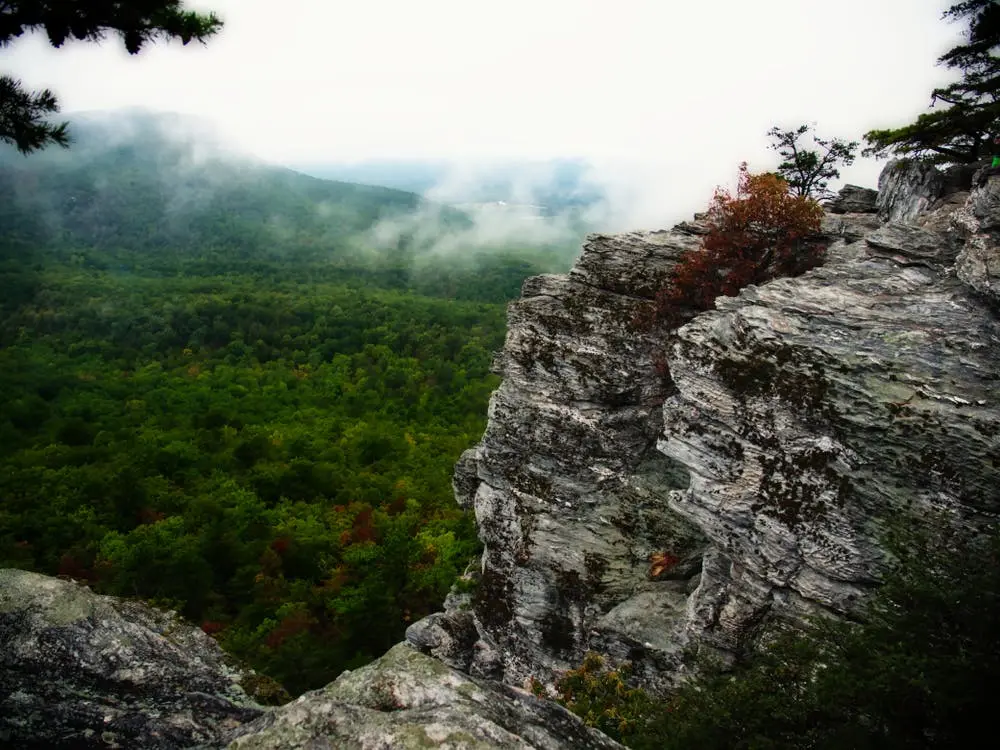 Flagstaff to Fort Bragg Road Trip Section Image