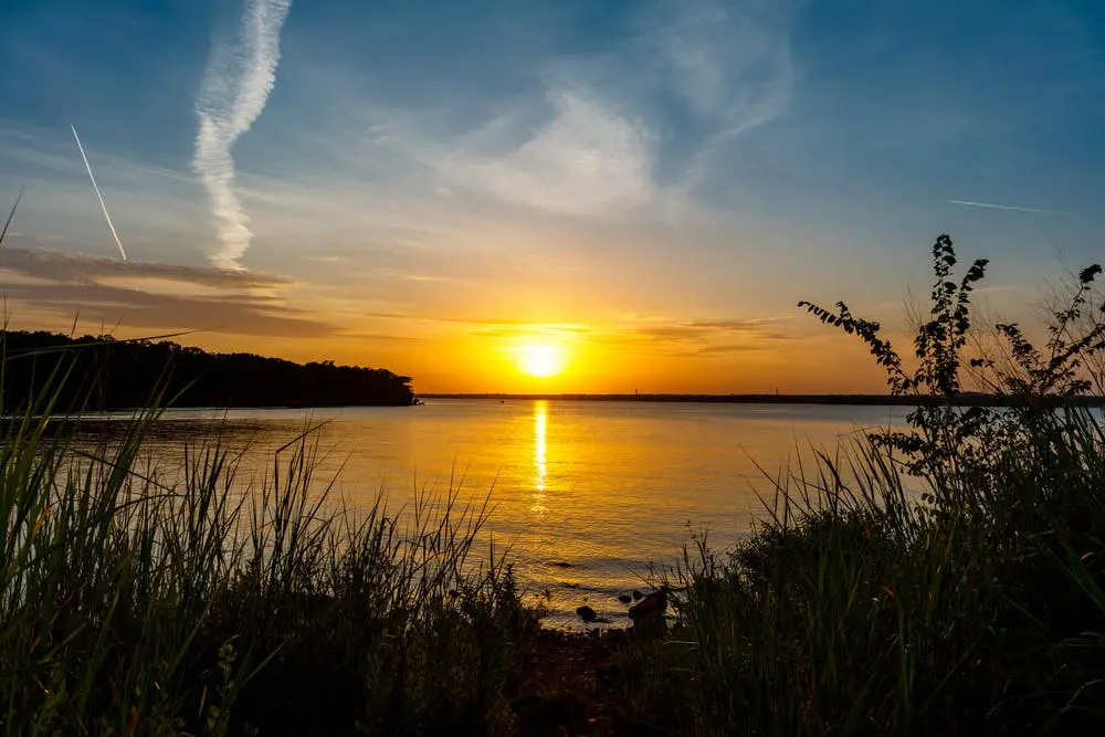 Dallas to Springfield Road Trip Section Image