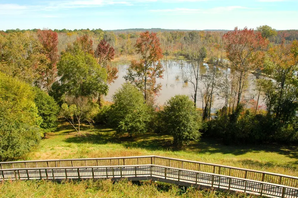 Tampa to Gatlinburg Road Trip Section Image