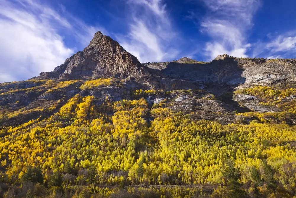 Humboldt-Toiyabe National Forest