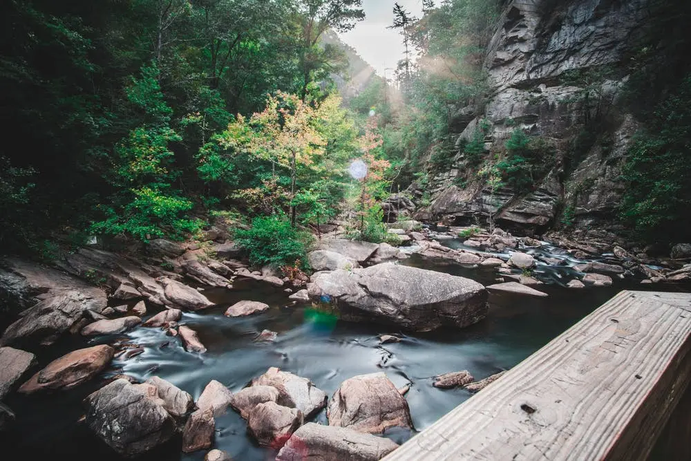 Atlanta to Delray Beach Road Trip Section Image