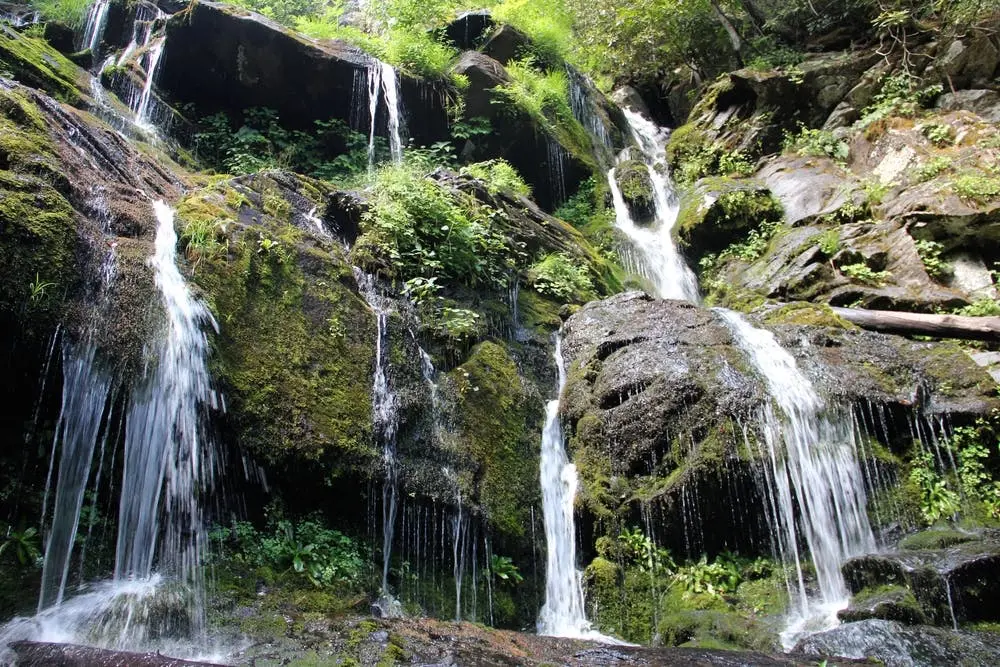 Raleigh to Brevard Road Trip Section Image