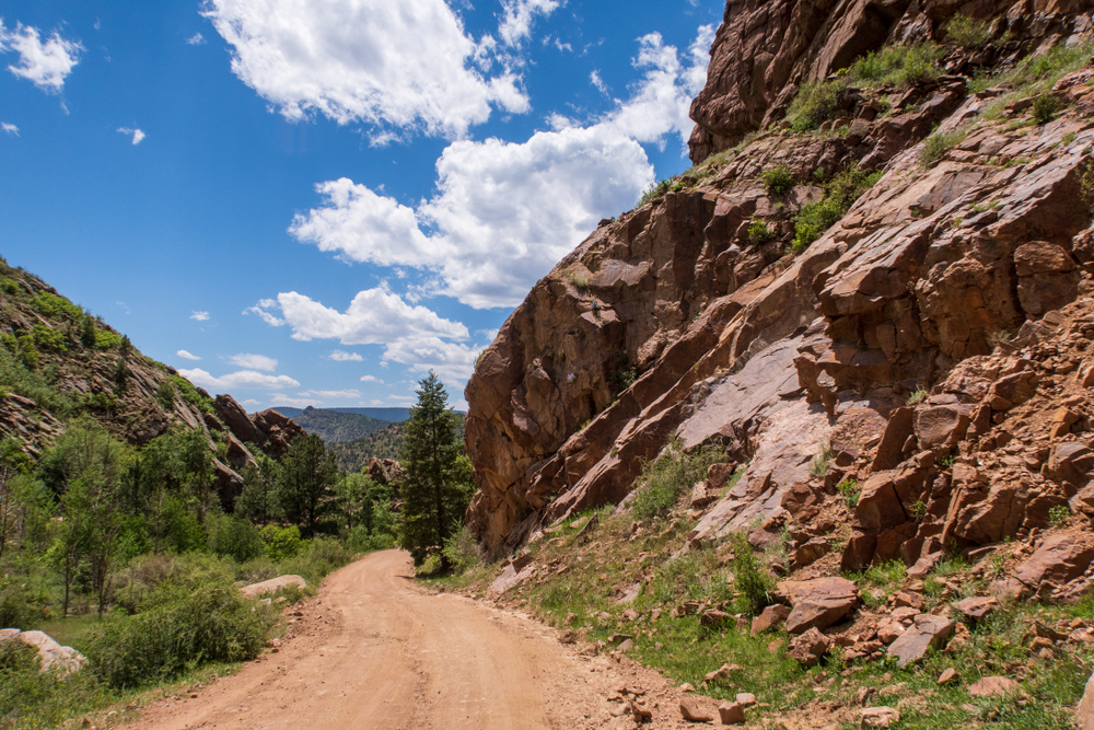 A dirt road running through a narrow valley with sparse green trees and brown cliffs overhead