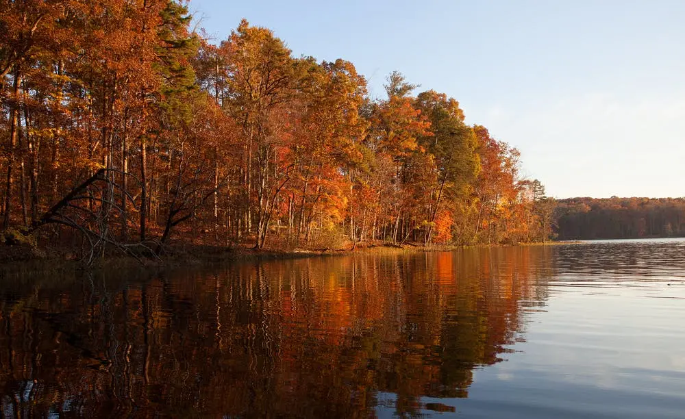 Uwharrie National Forest