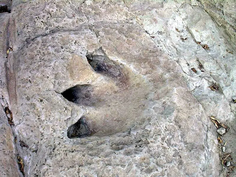 Dallas to Santa Fe Road Trip Section Image