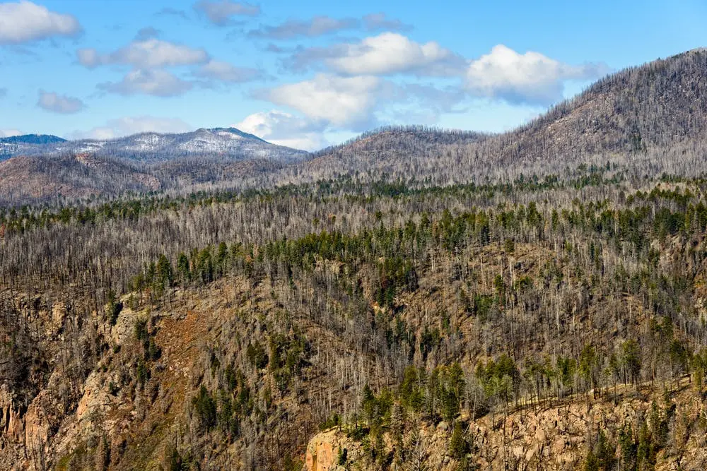 Valles Caldera National Preserve