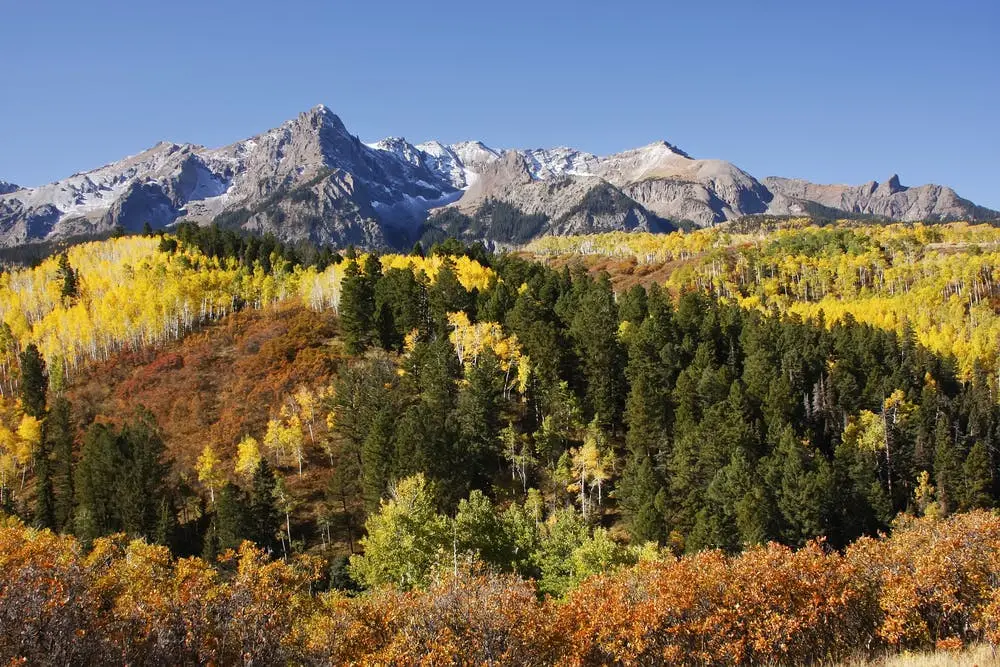 Uncompahgre National Forest