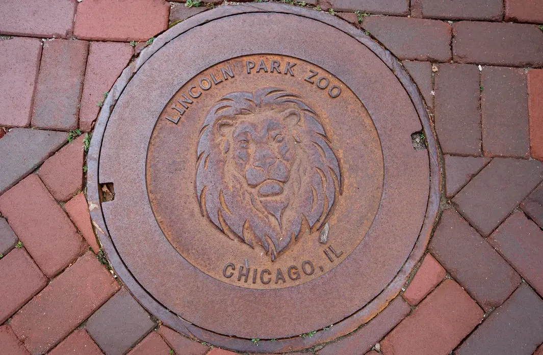 Chicago to Detroit Road Trip Section Image