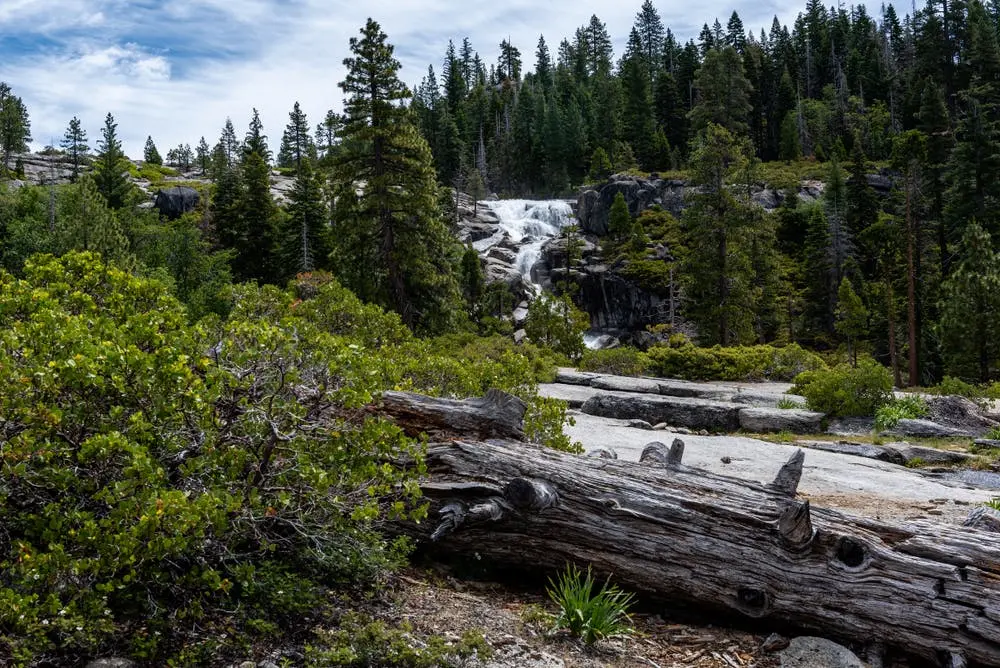 Eldorado National Forest