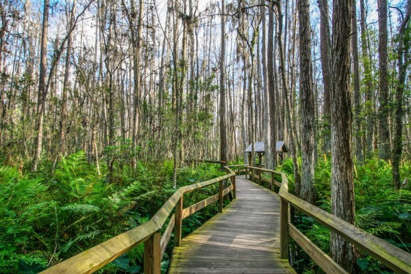 Everglades National Park Hiking Trails