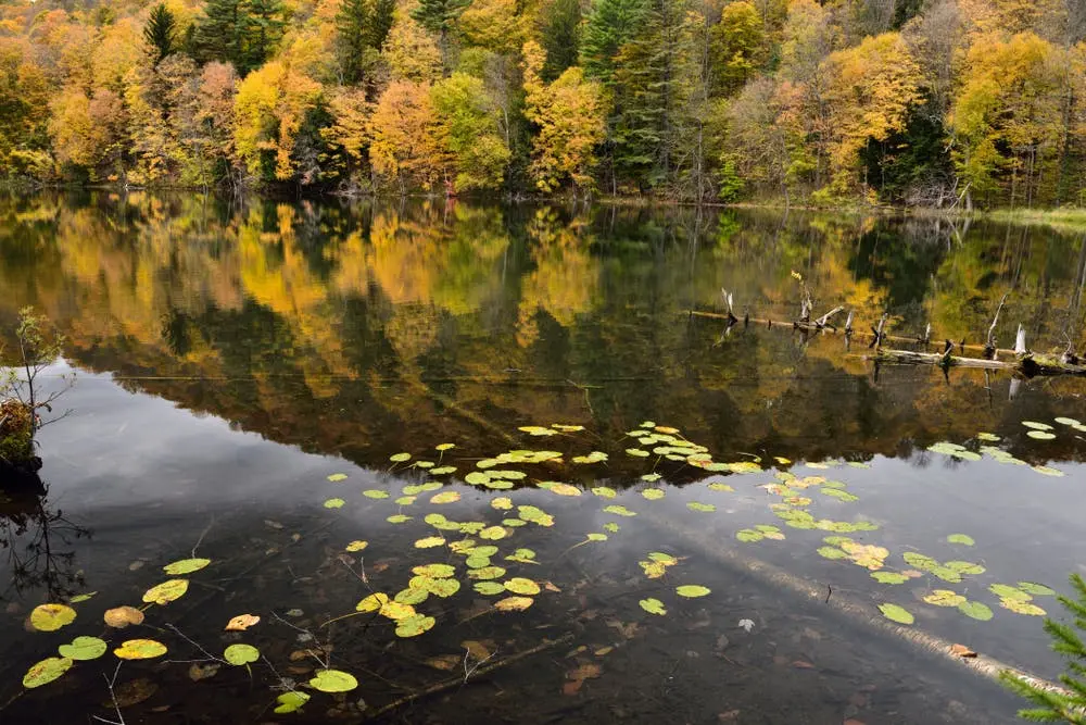 Dover to Burlington Road Trip Section Image