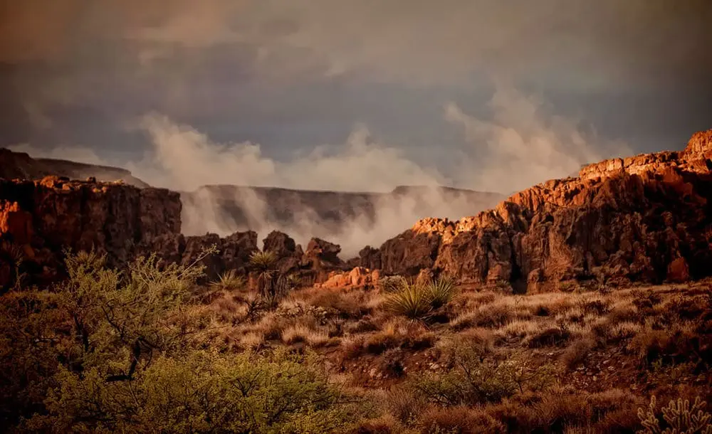 Mojave National Preserve