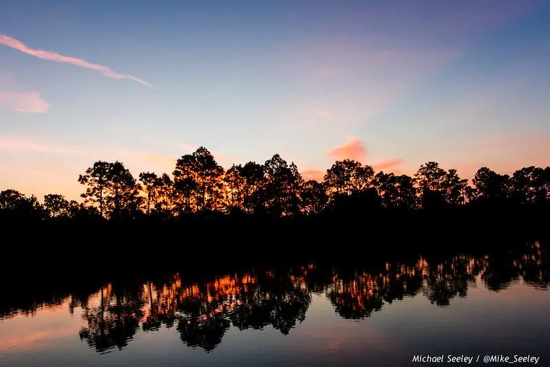 Atlanta to Orlando Road Trip Section Image