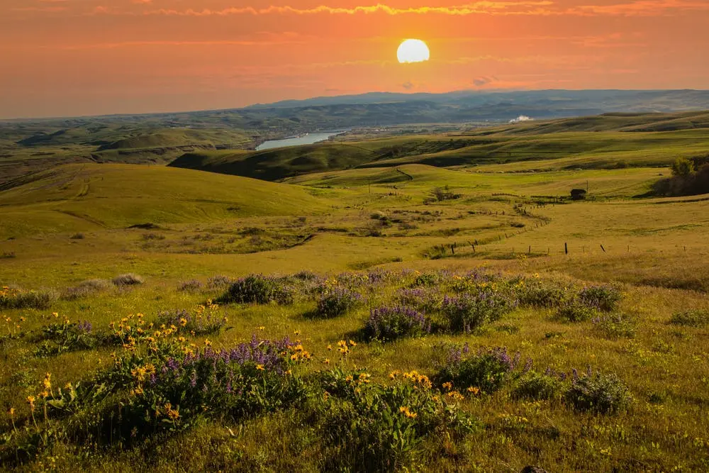 Portland to Ocean City Road Trip Section Image