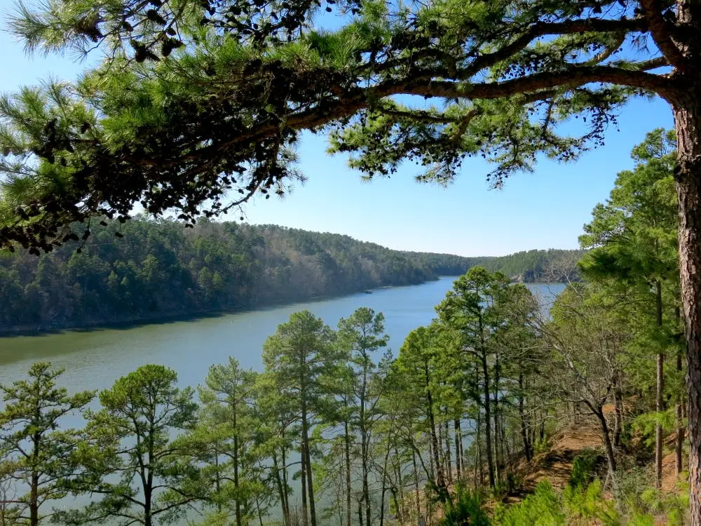 Daisy State Park