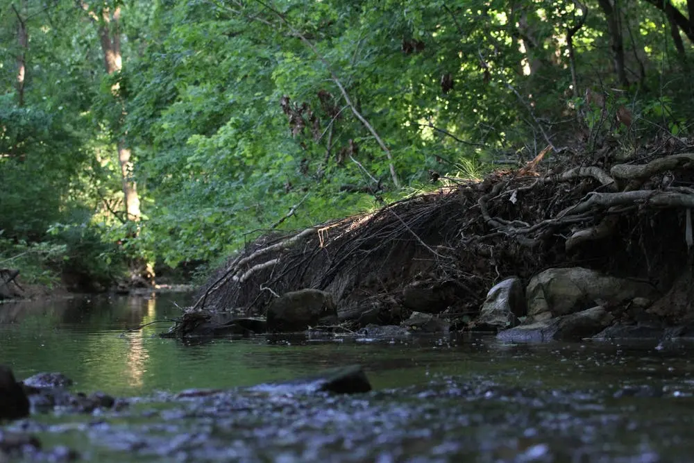 Chattanooga to Louisville Road Trip Section Image