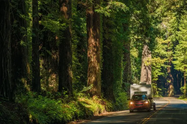 How to get to Redwood National Park