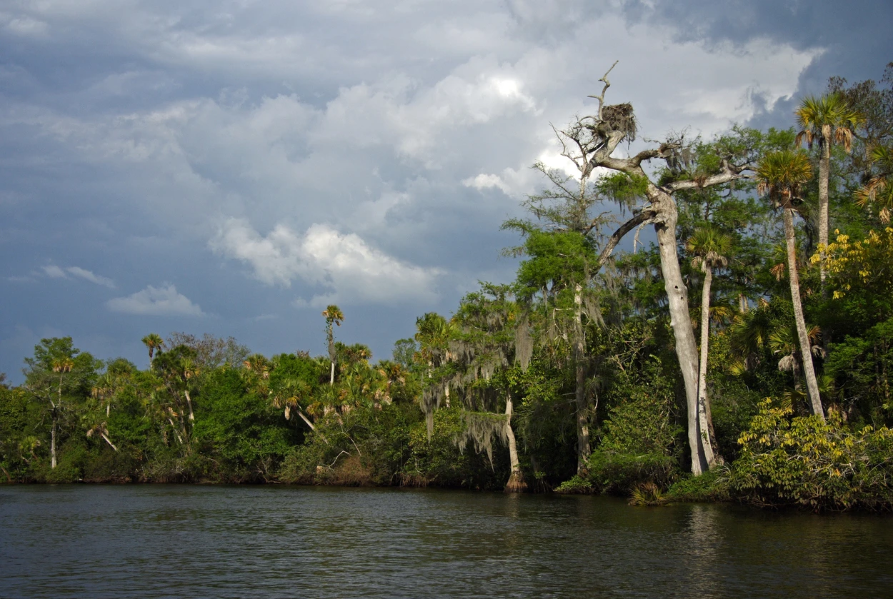 Jonathan Dickinson State Park