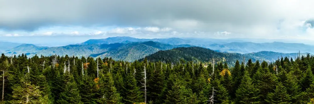 Orlando to Charlotte Road Trip Section Image