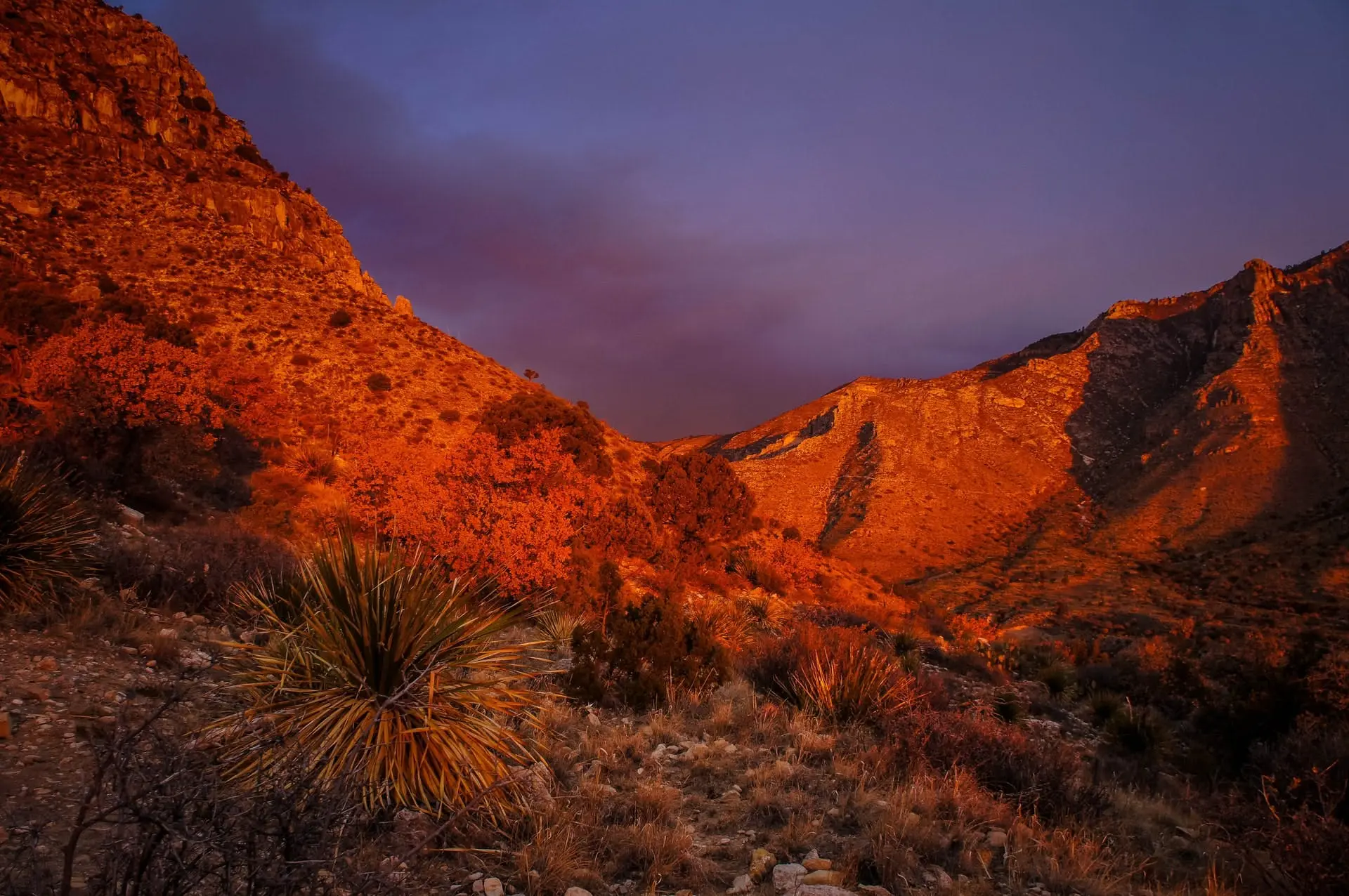 Amarillo to Taos Road Trip Section Image